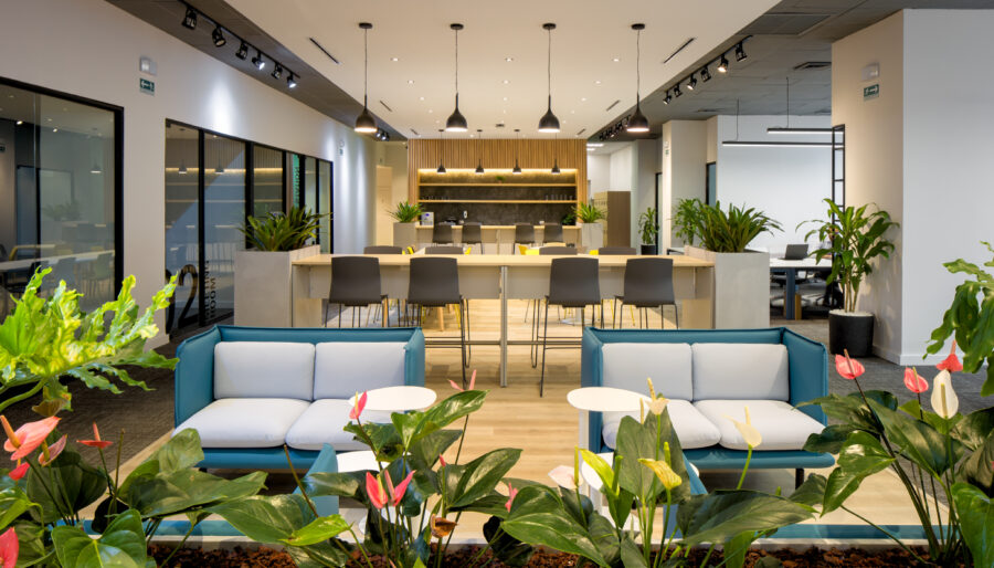 ¿Qué plan de coworking te conviene según tu perfil? Guía rápida